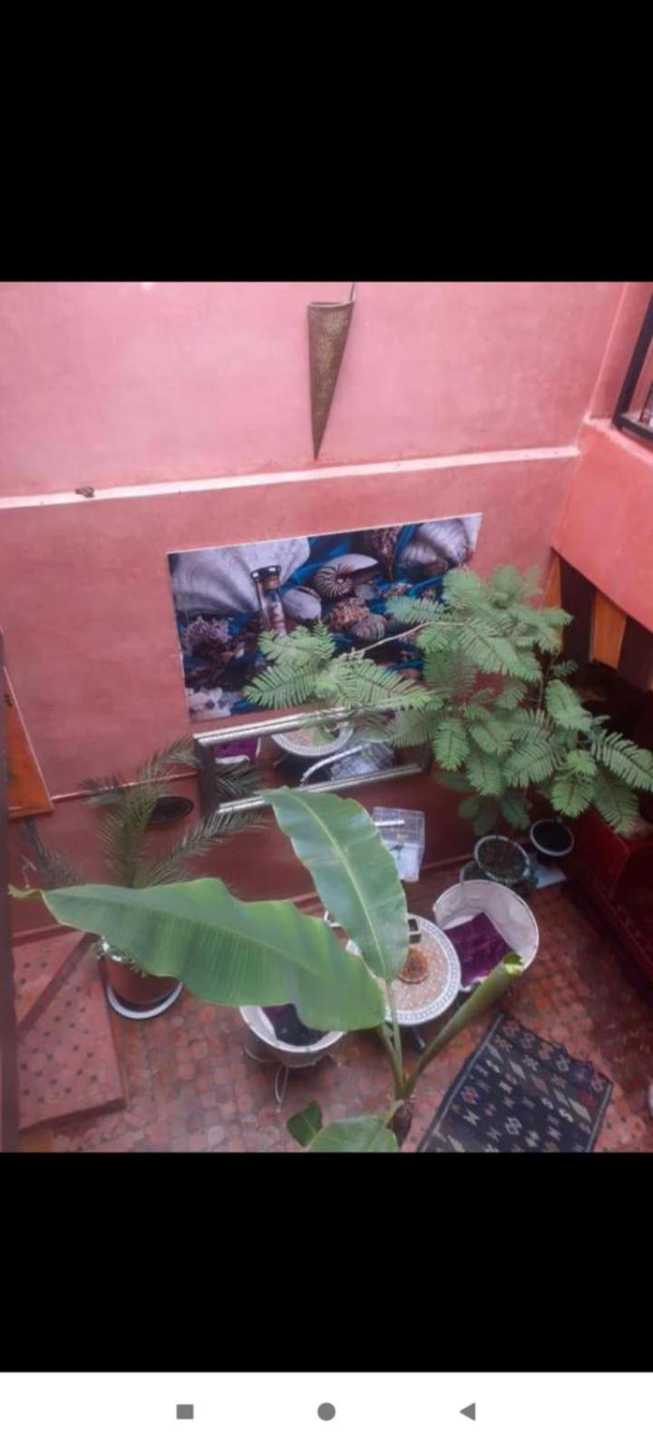 Riad Hanafi Marrákes Kültér fotó